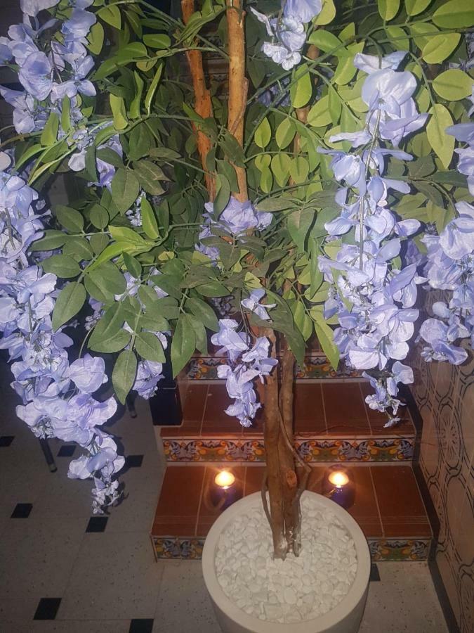 Big Apartment With Unique Patio Near Santa Barbara Castle Αλικάντε Εξωτερικό φωτογραφία