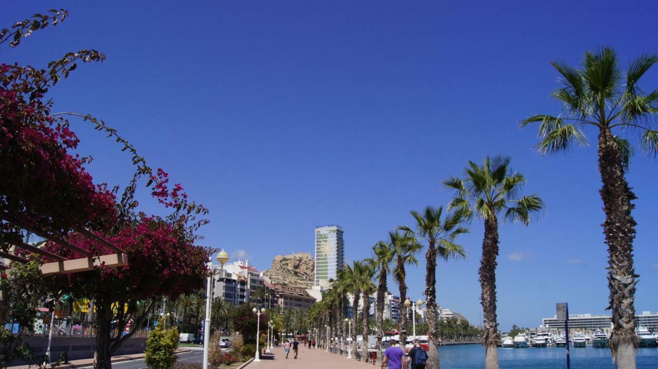 Big Apartment With Unique Patio Near Santa Barbara Castle Αλικάντε Εξωτερικό φωτογραφία